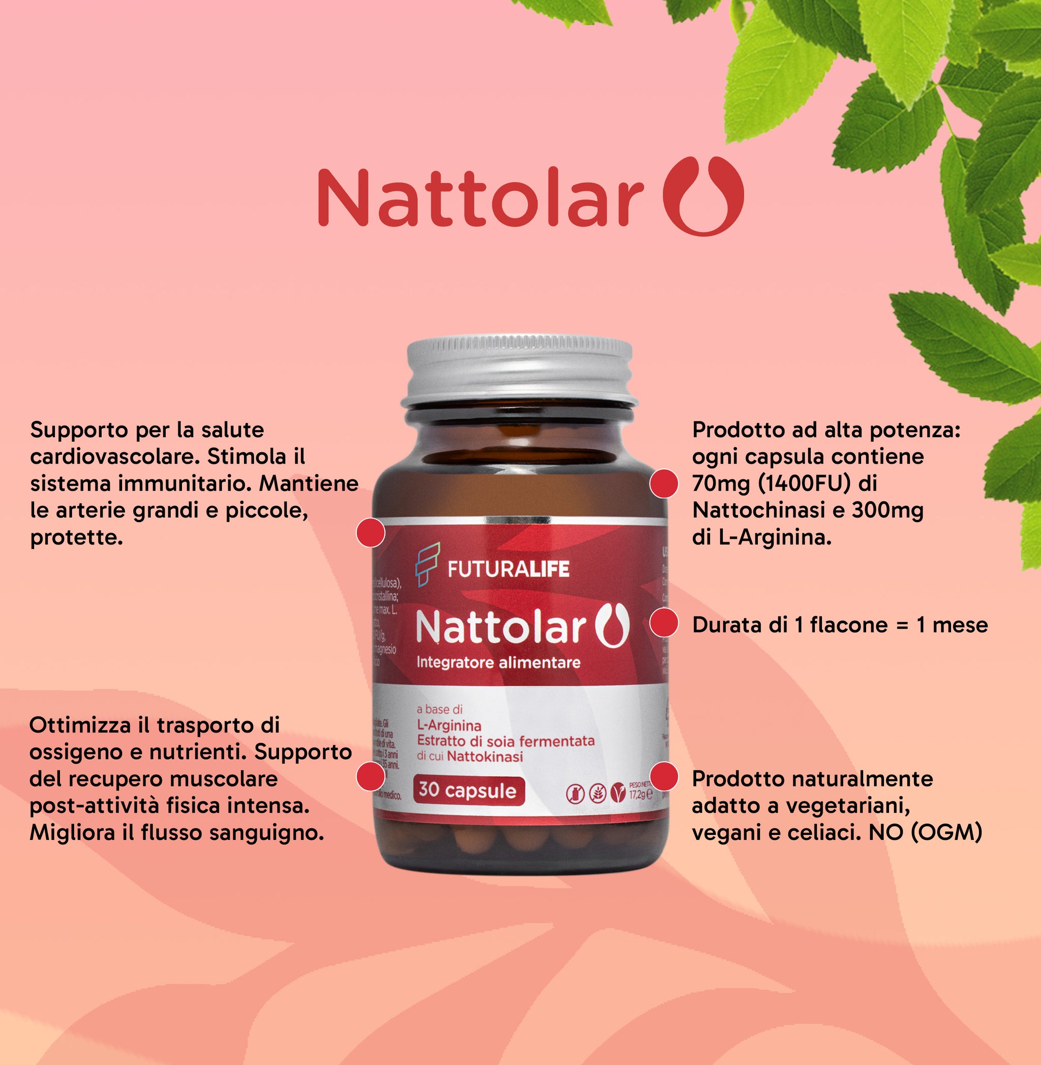 Nattolar